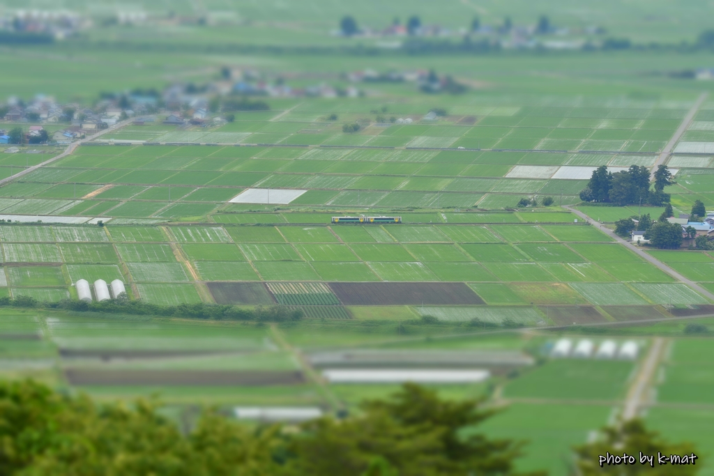 田圃の中をのんびりと