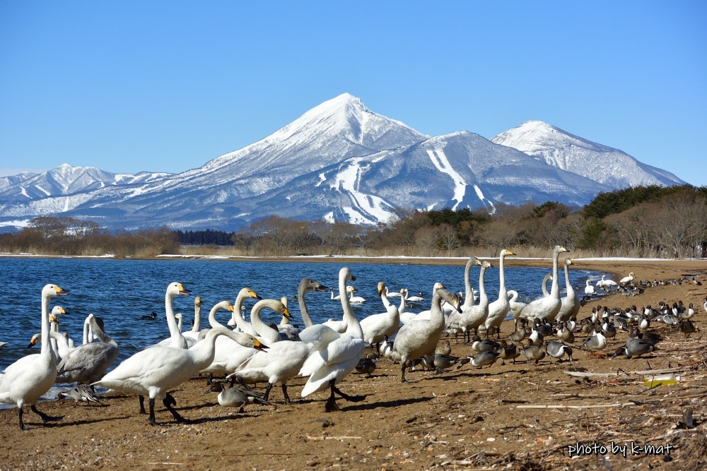 湖畔の賑わい