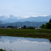 田圃の風景①