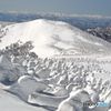 西吾妻山樹氷群