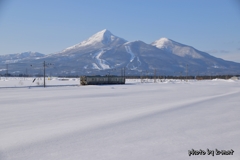 雪原を走る