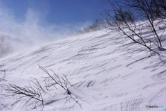 シュカブラと雪煙