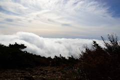 雲海