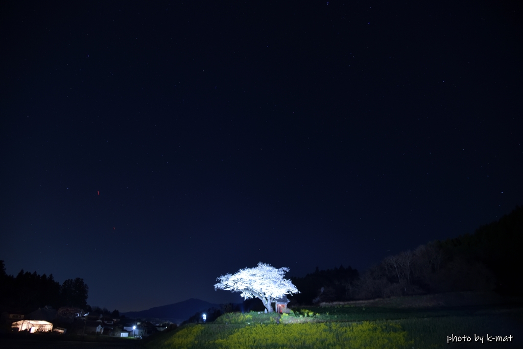 夜に煌めく