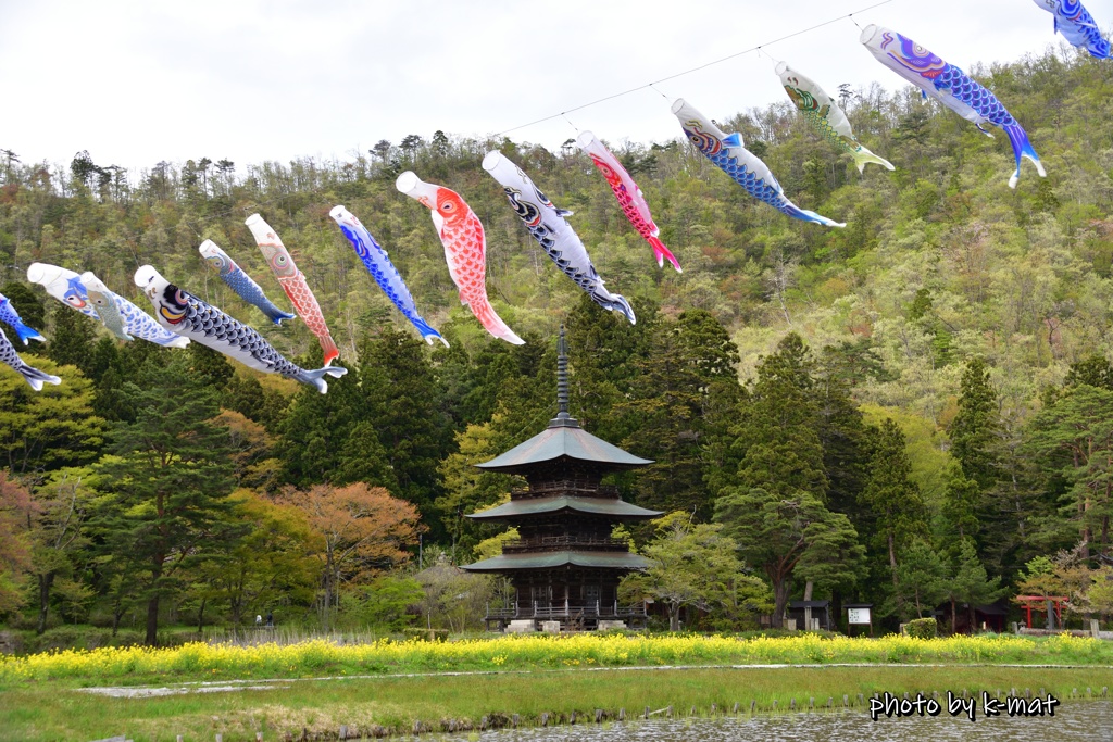 屋根より高い鯉登
