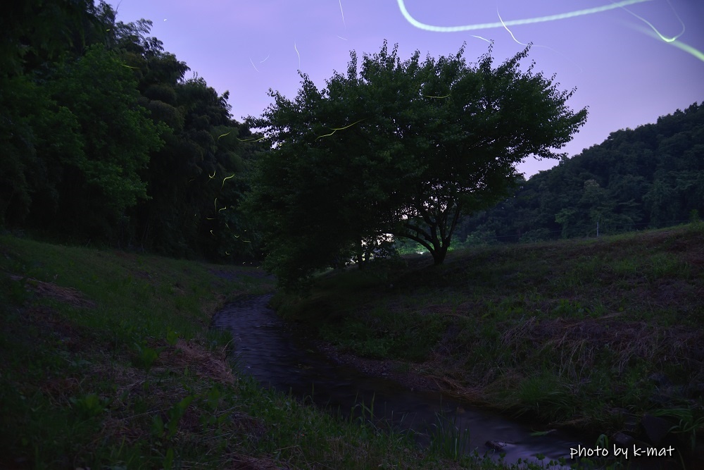 蛍の川