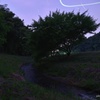 蛍の川