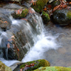 晩秋の渓流