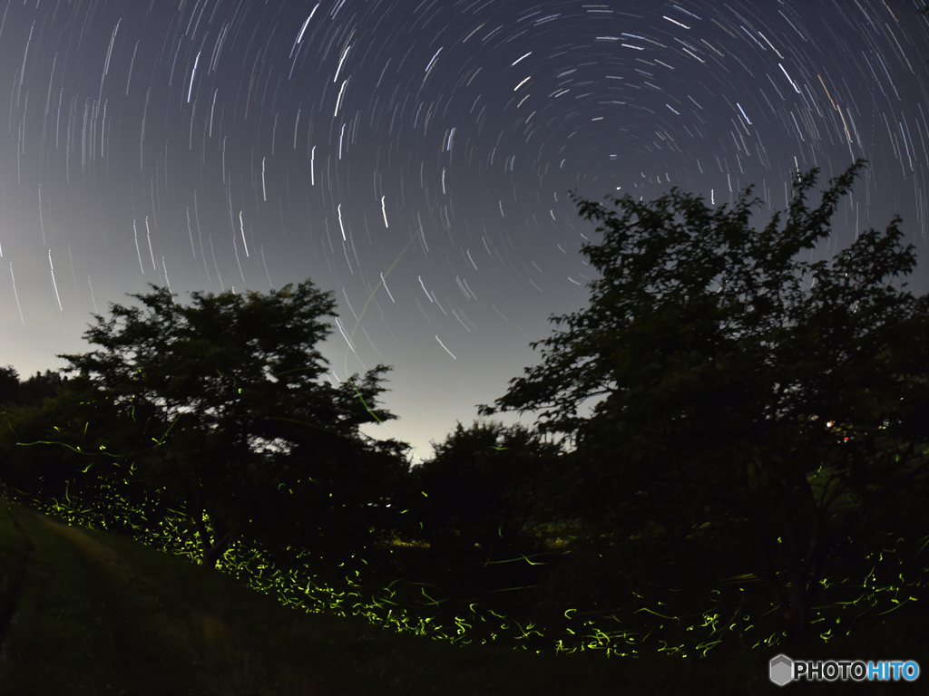 天の星と地上の星