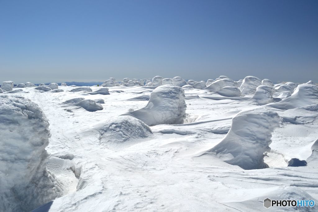 西吾妻山頂の樹氷