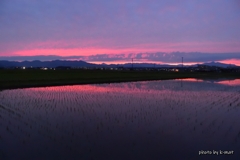 田圃の夕焼け