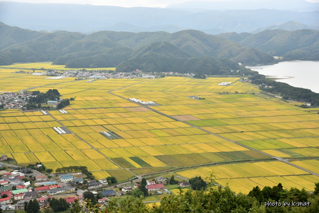 黄金色の大地