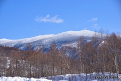 樹氷の山
