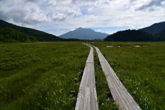 尾瀬ヶ原