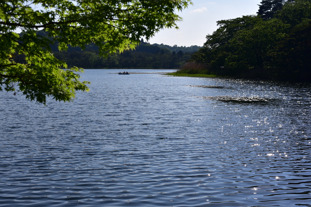 南湖公園