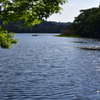 南湖公園