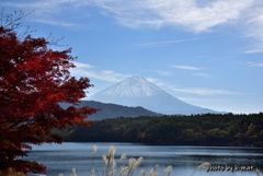 富士と西湖と紅葉