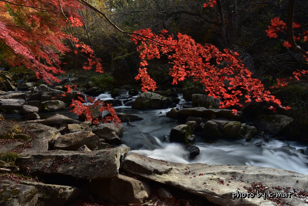 紅葉と白き流れ