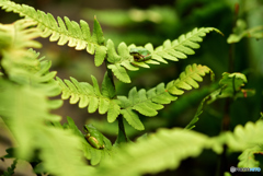 二階空いてますよ