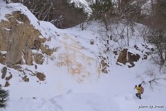 イエローフォール