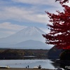 子抱富士と精進湖と紅葉