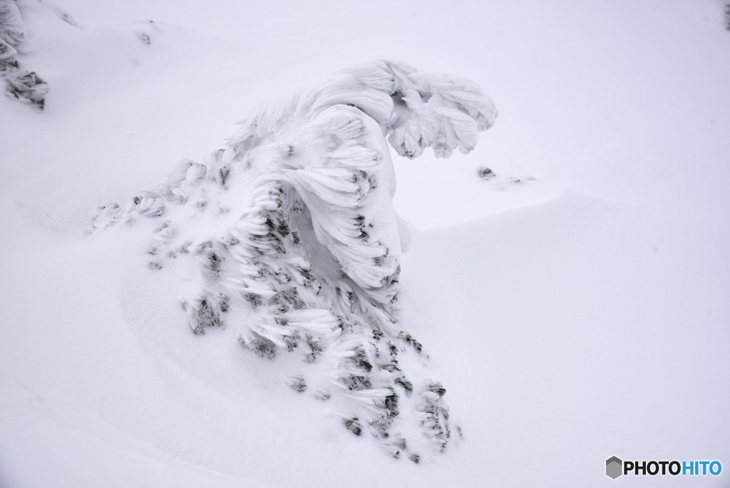 雪女