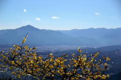 長瀞宝登山