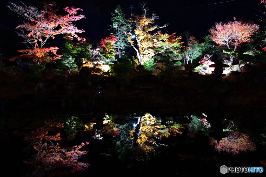 紅葉ライトアップ①