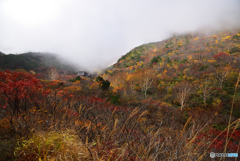 安達太良山紅葉①