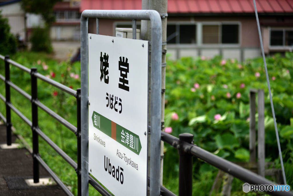 蓮の咲く無人駅