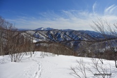 雪原散歩