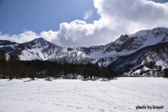 雪原散歩