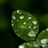 雨滴