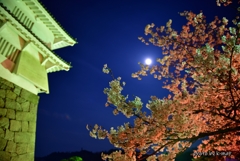 城・月・桜