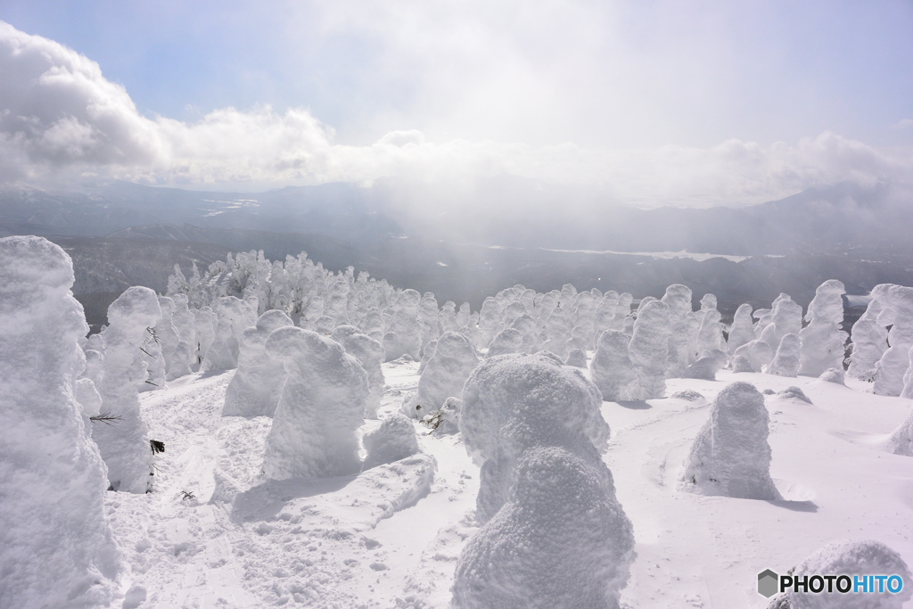 西大巓の樹氷①