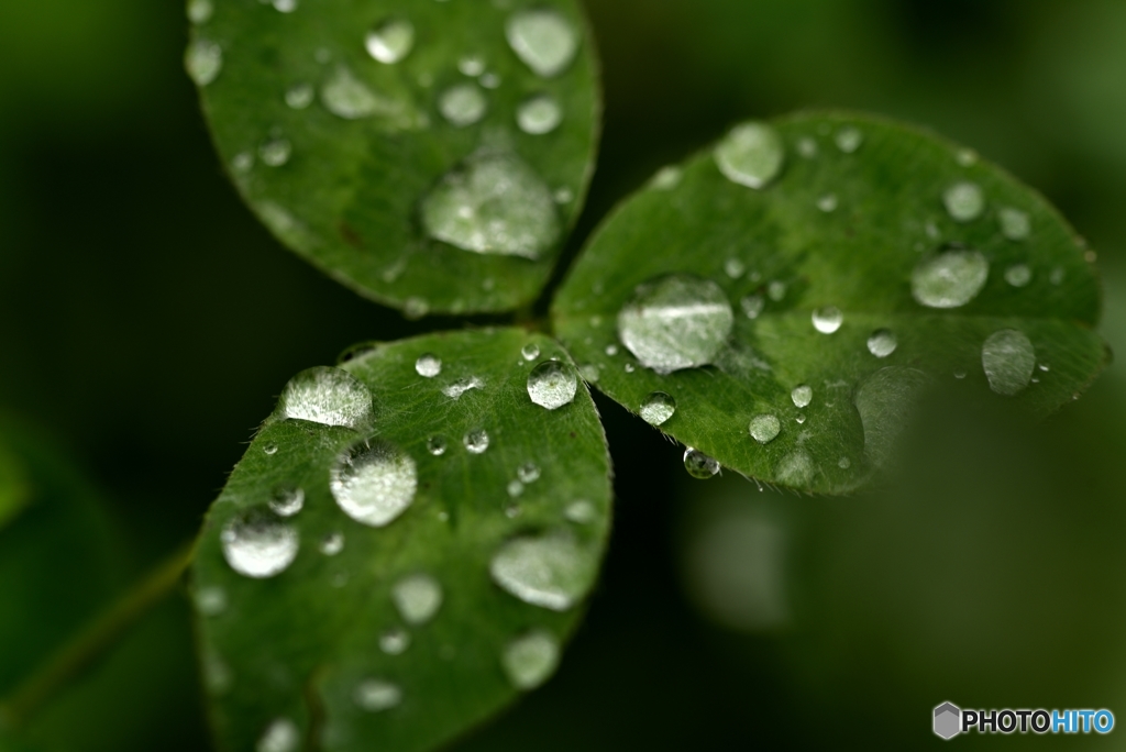 水滴
