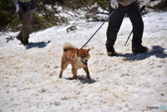 安達太良山の山開き⑤