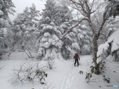 山スキー