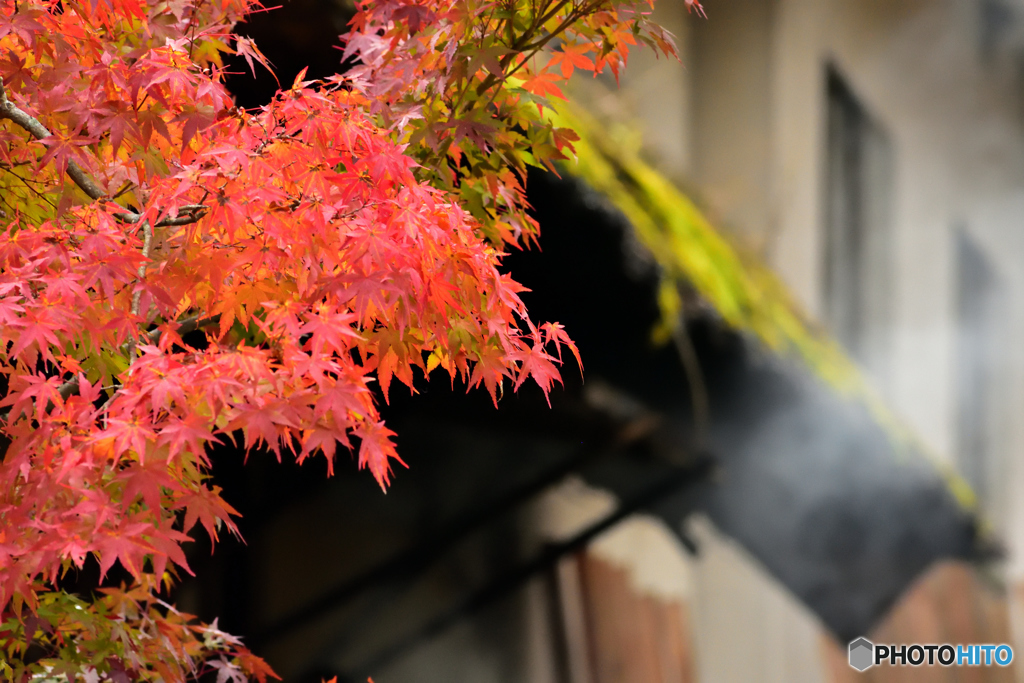 会津の秋⑩