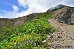 磐梯山2020年夏③
