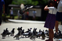 早くちょうだい