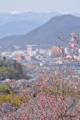 花見山からの眺め