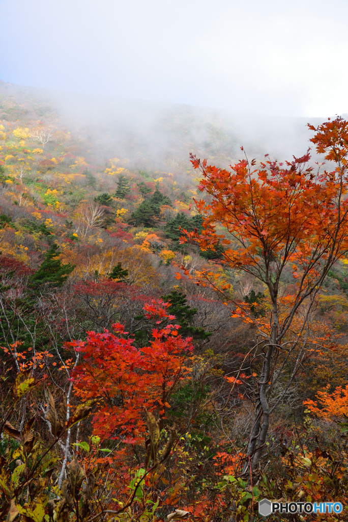 安達太良山紅葉⑤