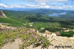 磐梯山2020年夏⑧