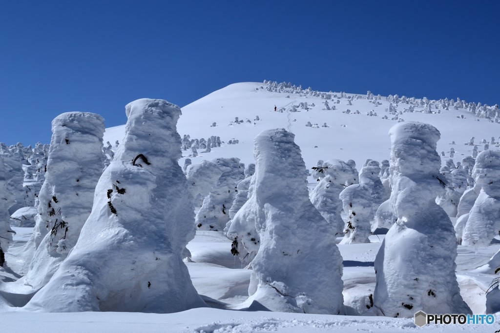 無数の樹氷