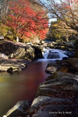 川面に映る秋