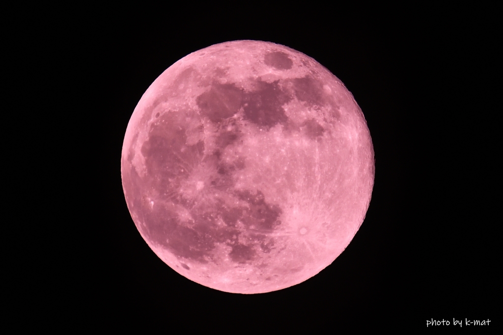 pink moon