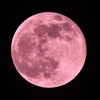pink moon