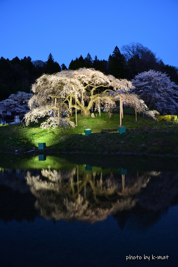 中島の地蔵桜①
