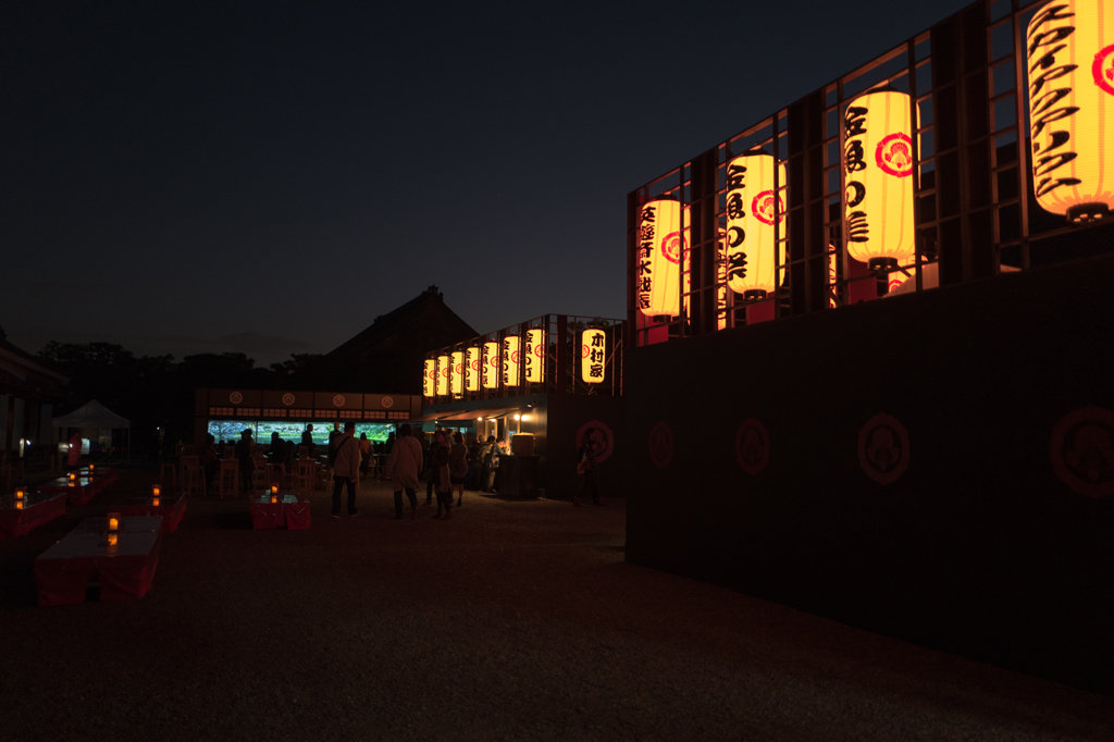 2015 アートアクアリウムにて